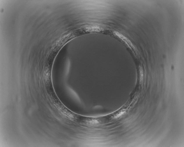 X0000060790513200511171311