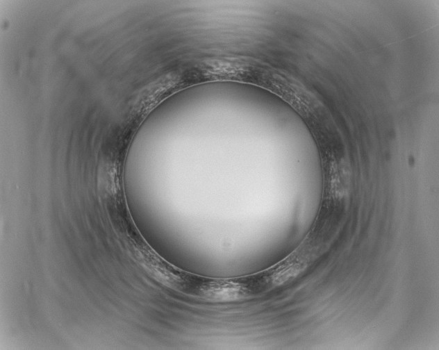 X0000060790514200511171311