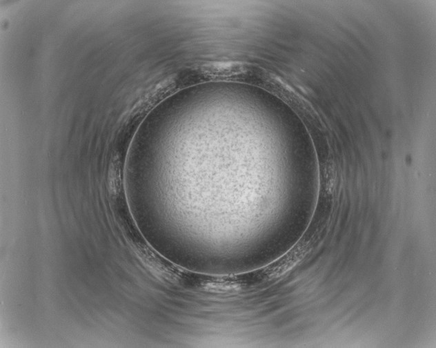 X0000060790515200511171311