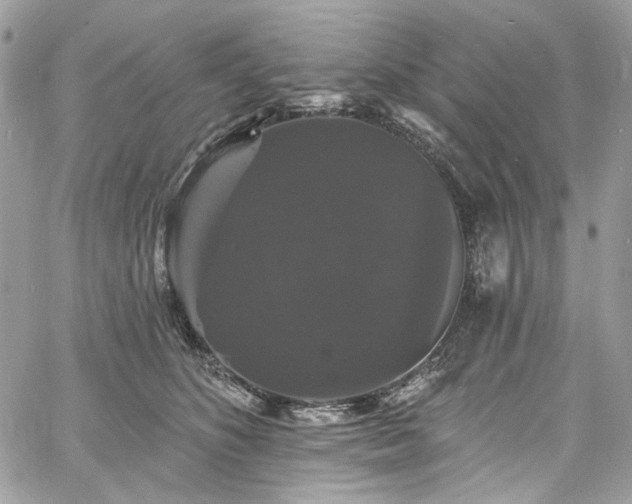 X0000060790516200511171311