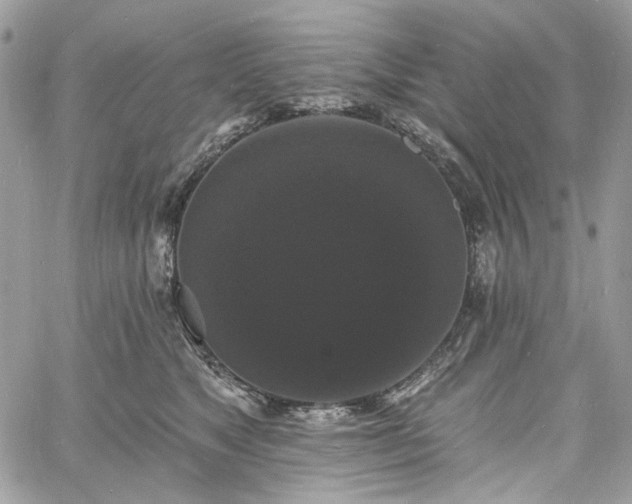 X0000060790517200511171311