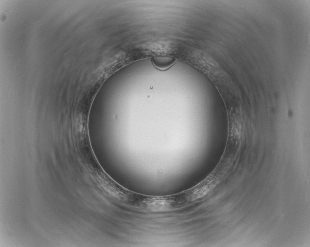 X0000060790518200511171311