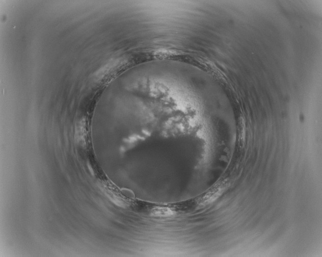 X0000060790519200511171311