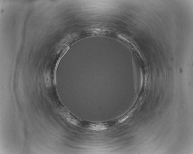 X0000060790520200511171311