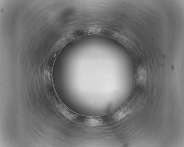 X0000060790522200511171311