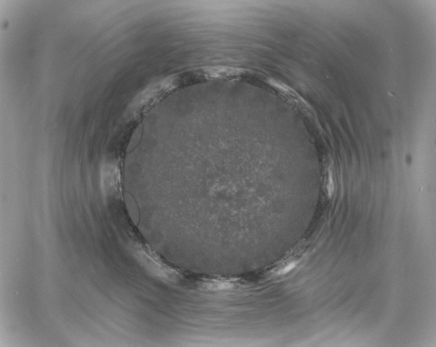 X0000060790523200511171311