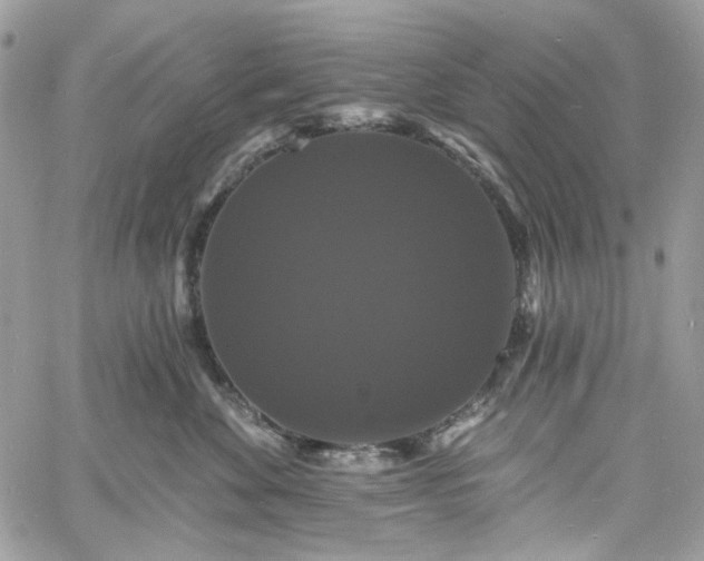 X0000060790524200511171311