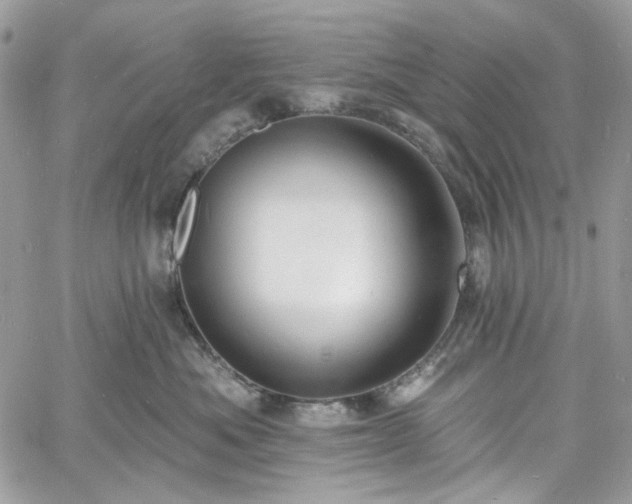 X0000060790525200511171311