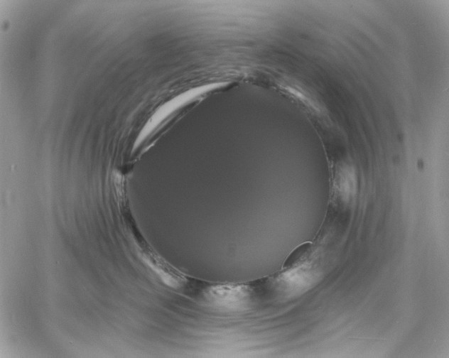 X0000060790526200511171311