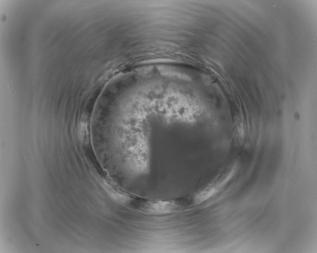 X0000060790527200511171311