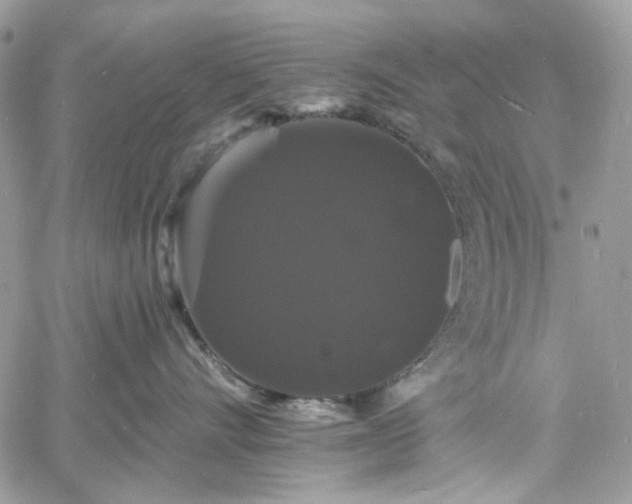 X0000060790528200511171311