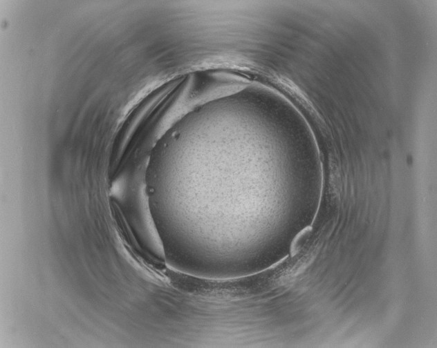 X0000060790530200511171310