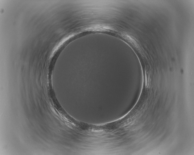 X0000060790531200511171310