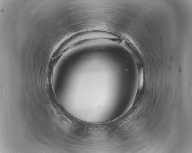 X0000060790532200511171310