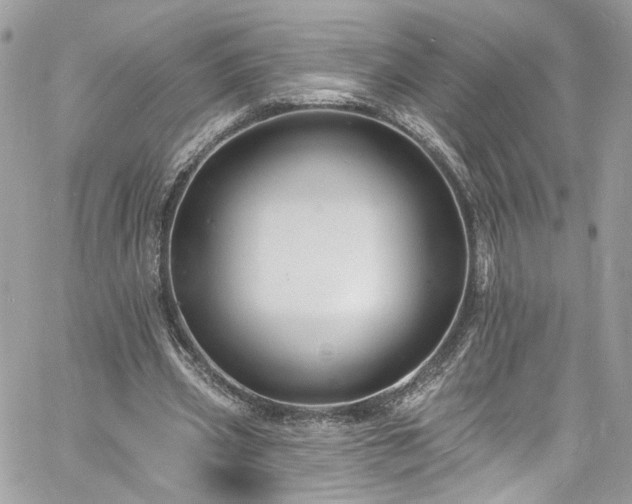 X0000060790533200511171310