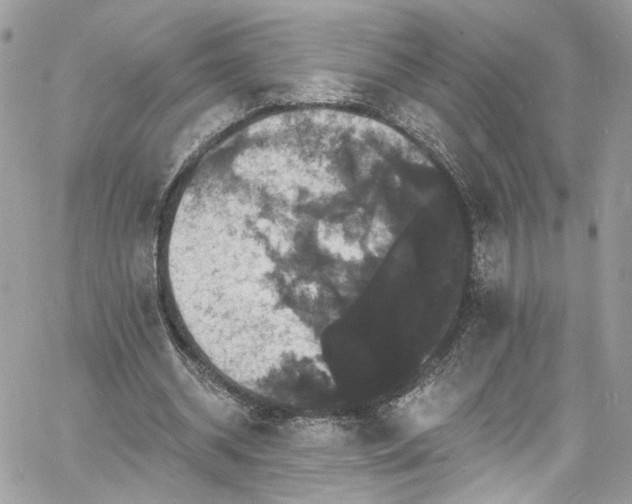 X0000060790534200511171310