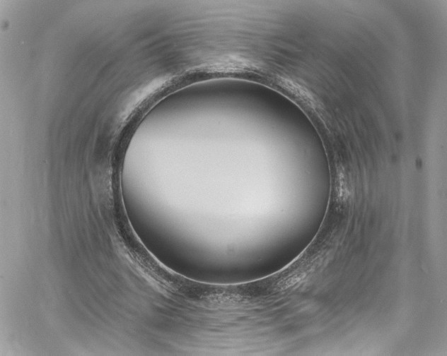 X0000060790535200511171310