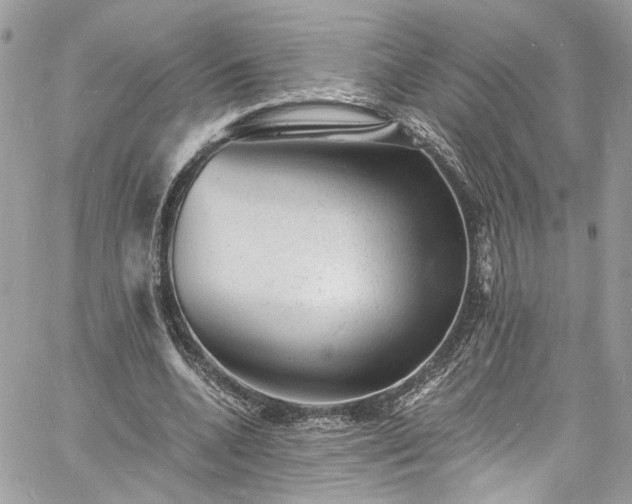 X0000060790536200511171310