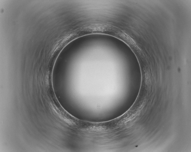 X0000060790537200511171310