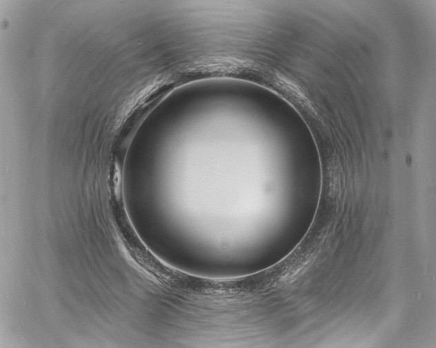 X0000060790538200511171311