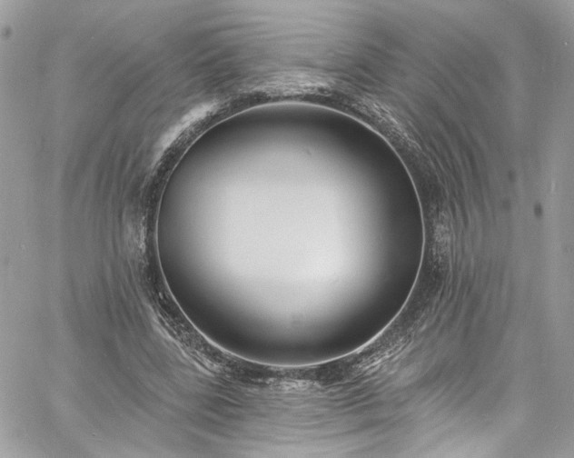 X0000060790539200511171311