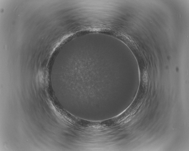 X0000060790540200511171311