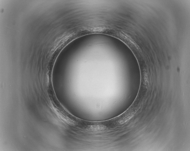 X0000060790541200511171311