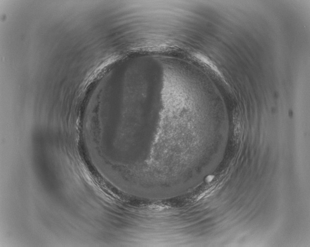 X0000060790542200511171311