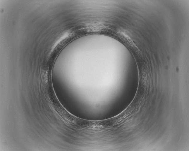 X0000060790543200511171311