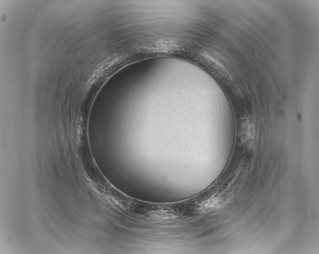 X0000060790544200511171311