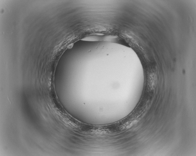 X0000060790545200511171311