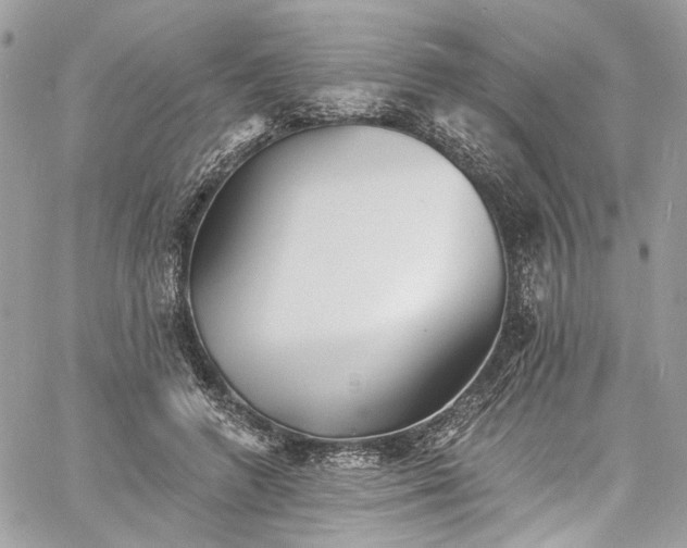 X0000060790546200511171311