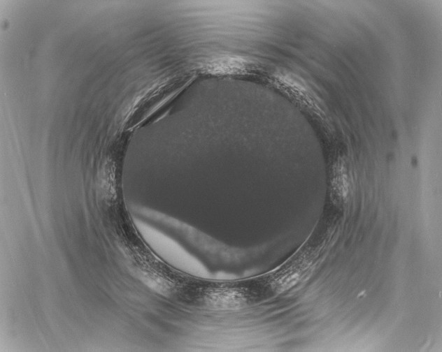 X0000060790547200511171311