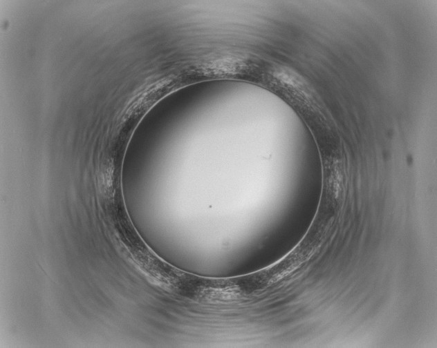 X0000060790548200511171311