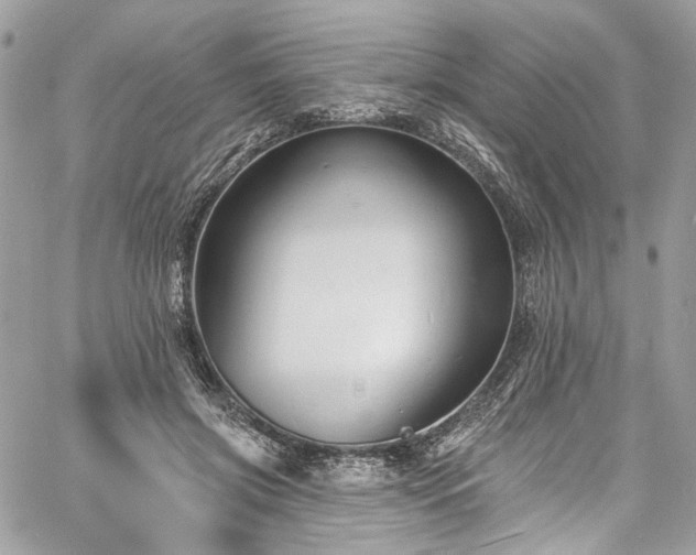 X0000060790549200511171311