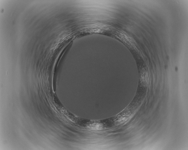 X0000060790551200511171311