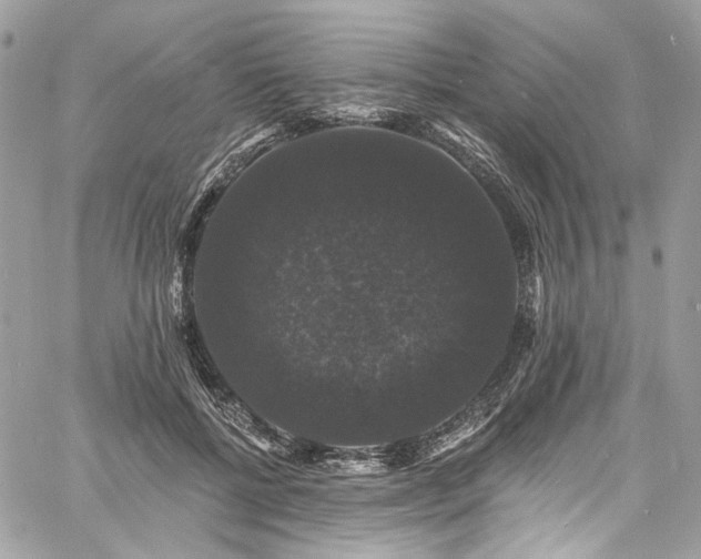 X0000060790552200511171311