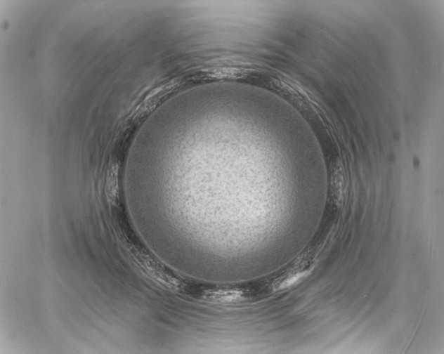 X0000060790554200511171311