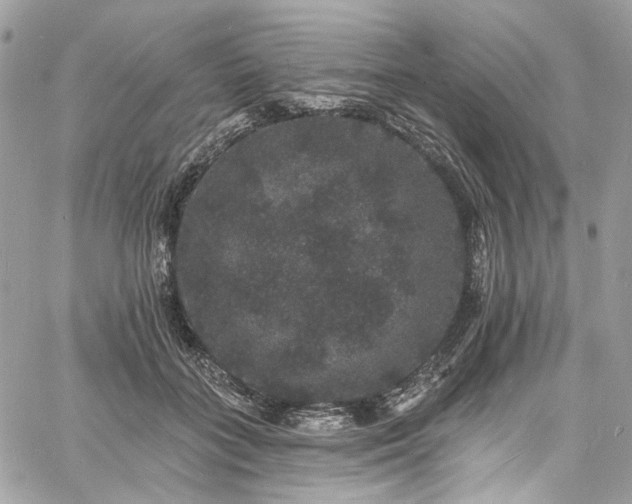 X0000060790555200511171311