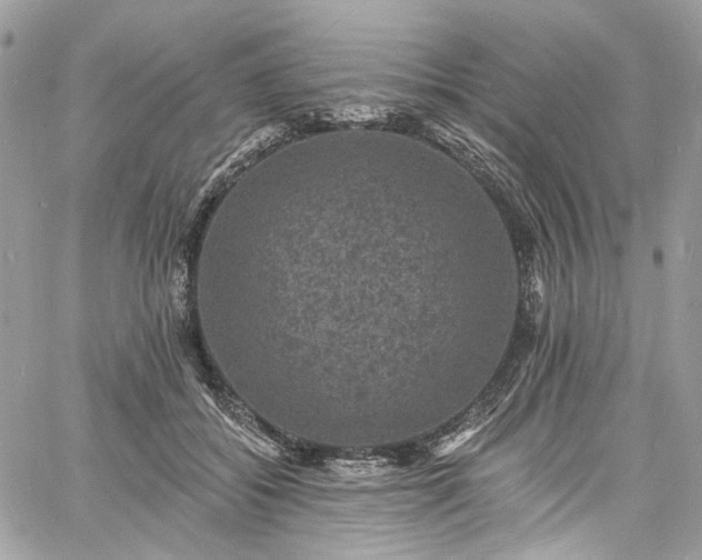 X0000060790556200511171311