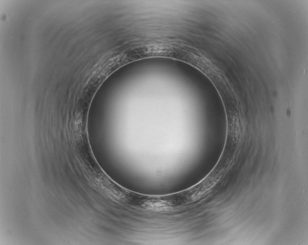 X0000060790557200511171311