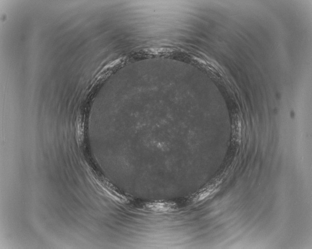 X0000060790558200511171311