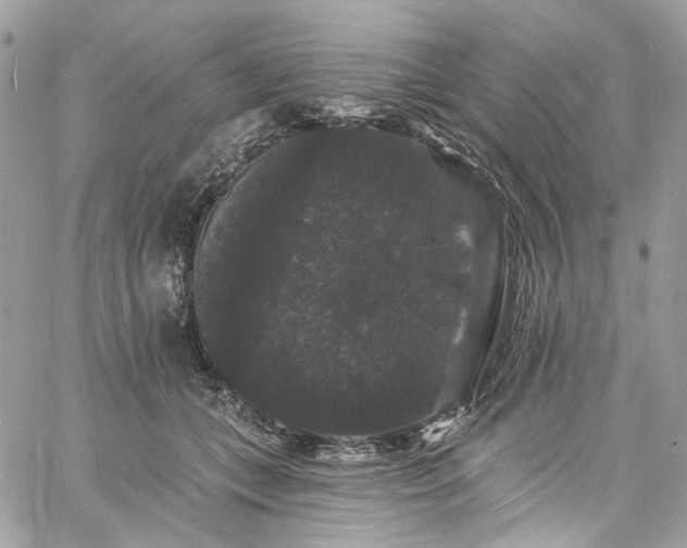 X0000060790559200511171311