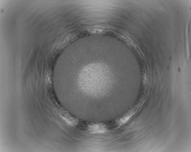 X0000060790561200511171311