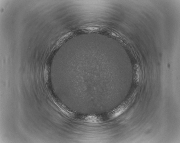 X0000060790562200511171311