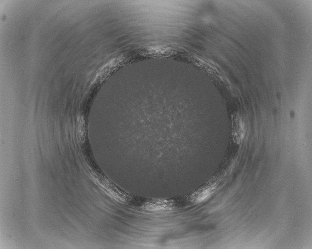 X0000060790563200511171311