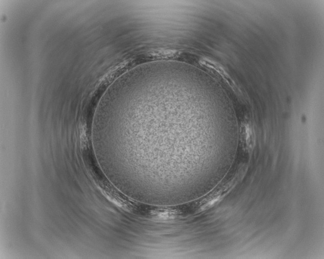 X0000060790564200511171311