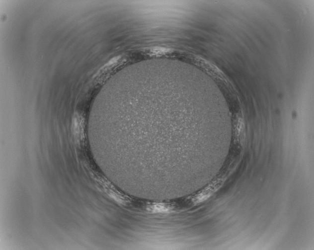 X0000060790565200511171311