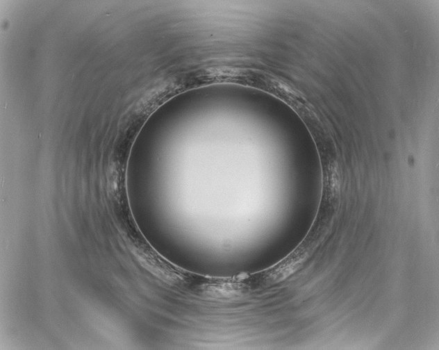 X0000060790567200511171311