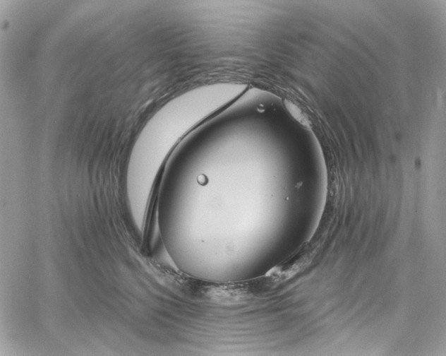 X0000060790568200511171311